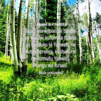 Picture 04 - 1 Nyakati 16:4 SWHULB - Daudi aliewapangia baadhi ya Walawi kutumika - Bible Verse Picture