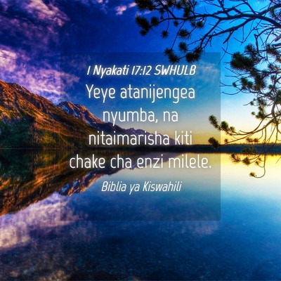 Picture 04 - 1 Nyakati 17:12 SWHULB - Yeye atanijengea nyumba, na nitaimarisha kiti - Bible Verse Picture