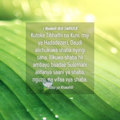 Picture 04 - 1 Nyakati 18:8 SWHULB - Kutoka Tibhathi na Kuni, miji ya Hadadezeri, - Bible Verse Picture