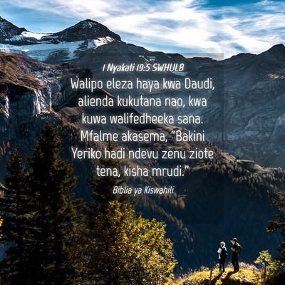 Picture 04 - 1 Nyakati 19:5 SWHULB - Walipo eleza haya kwa Daudi, alienda kukutana - Bible Verse Picture