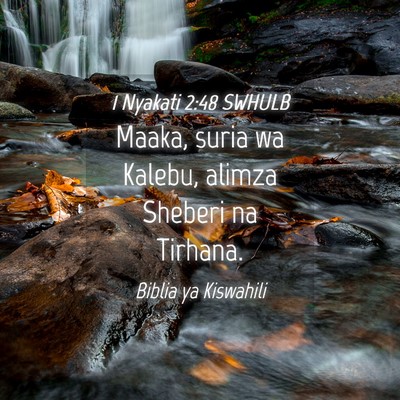 Picture 04 - 1 Nyakati 2:48 SWHULB - Maaka, suria wa Kalebu, alimza Sheberi na - Bible Verse Picture