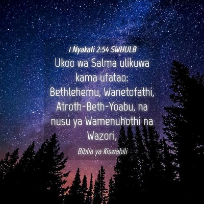 Picture 04 - 1 Nyakati 2:54 SWHULB - Ukoo wa Salma ulikuwa kama ufatao: Bethlehemu, - Bible Verse Picture