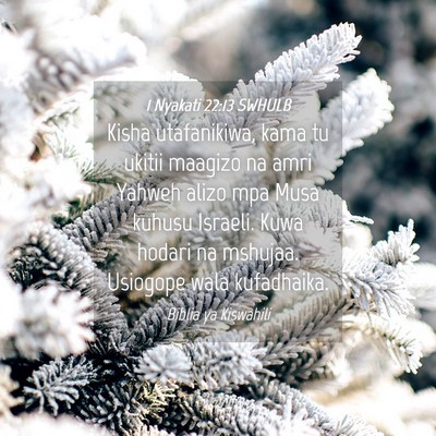 Picture 04 - 1 Nyakati 22:13 SWHULB - Kisha utafanikiwa, kama tu ukitii maagizo na amri - Bible Verse Picture