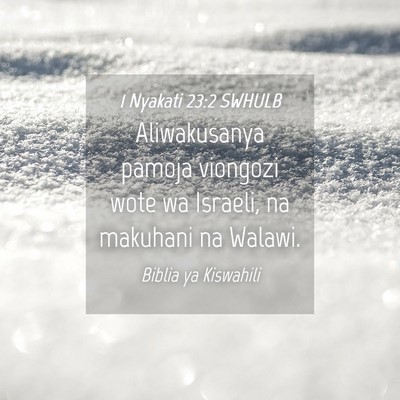 Picture 04 - 1 Nyakati 23:2 SWHULB - Aliwakusanya pamoja viongozi wote wa Israeli, na - Bible Verse Picture