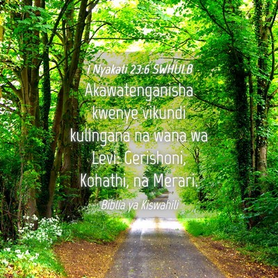 Picture 04 - 1 Nyakati 23:6 SWHULB - Akawatenganisha kwenye vikundi kulingana na wana - Bible Verse Picture