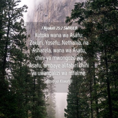Picture 04 - 1 Nyakati 25:2 SWHULB - Kutoka wana wa Asafu: Zakuri, Yosefu, Nethania, - Bible Verse Picture
