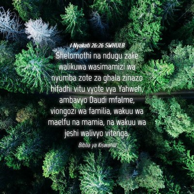 Picture 04 - 1 Nyakati 26:26 SWHULB - Shelomothi na ndugu zake walikuwa wasimamizi wa - Bible Verse Picture
