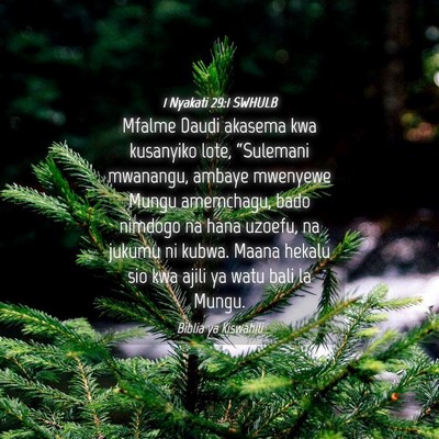 Picture 04 - 1 Nyakati 29:1 SWHULB - Mfalme Daudi akasema kwa kusanyiko lote, - Bible Verse Picture