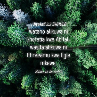 Picture 04 - 1 Nyakati 3:3 SWHULB - watano alikuwa ni Shefatia kwa Abitali, wasita - Bible Verse Picture