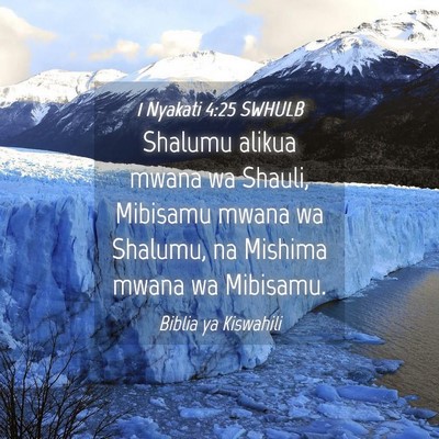 Picture 04 - 1 Nyakati 4:25 SWHULB - Shalumu alikua mwana wa Shauli, Mibisamu mwana wa - Bible Verse Picture