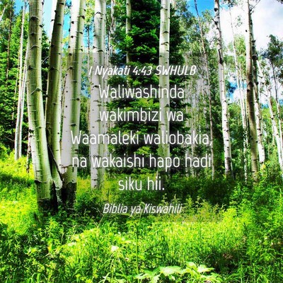 Picture 04 - 1 Nyakati 4:43 SWHULB - Waliwashinda wakimbizi wa Waamaleki waliobakia, - Bible Verse Picture