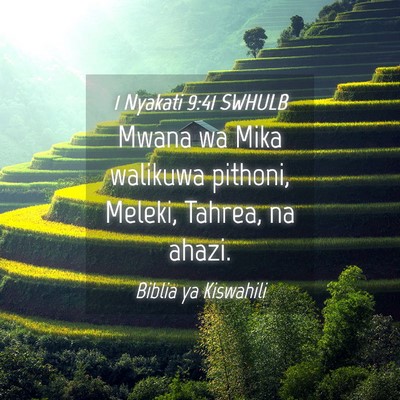 Picture 04 - 1 Nyakati 9:41 SWHULB - Mwana wa Mika walikuwa pithoni, Meleki, Tahrea, - Bible Verse Picture