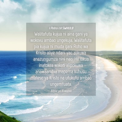 Picture 04 - 1 Petro 1:11 SWHULB - Walitafuta kujua ni aina gani ya wokovu ambao - Bible Verse Picture