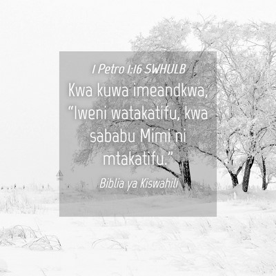 Picture 04 - 1 Petro 1:16 SWHULB - Kwa kuwa imeandkwa, “Iweni watakatifu, kwa - Bible Verse Picture