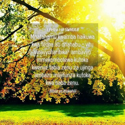 Picture 04 - 1 Petro 1:18 SWHULB - Mnafahamu kwamba haikuwa kwa fedha au dhahabu - - Bible Verse Picture