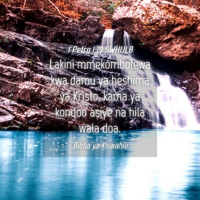 Picture 04 - 1 Petro 1:19 SWHULB - Lakini mmekombolewa kwa damu ya heshima ya - Bible Verse Picture