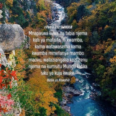 Picture 04 - 1 Petro 2:12 SWHULB - Mnapaswa kuwa na tabia njema kati ya mataifa, ili - Bible Verse Picture