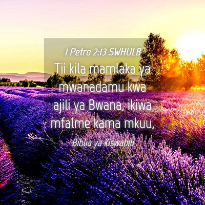 Picture 04 - 1 Petro 2:13 SWHULB - Tii kila mamlaka ya mwanadamu kwa ajili ya Bwana, - Bible Verse Picture