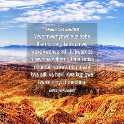 Picture 04 - 1 Petro 2:24 SWHULB - Yeye mwenyewe alizibeba dhambi zetu katika mwili - Bible Verse Picture