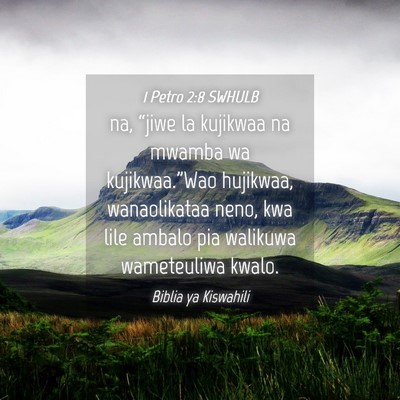 Picture 04 - 1 Petro 2:8 SWHULB - na, “jiwe la kujikwaa na mwamba wa - Bible Verse Picture
