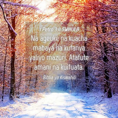 Picture 04 - 1 Petro 3:11 SWHULB - Na ageuke na kuacha mabaya na kufanya yaliyo - Bible Verse Picture