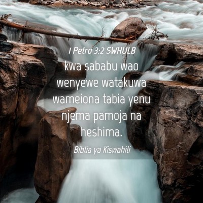 Picture 04 - 1 Petro 3:2 SWHULB - kwa sababu wao wenyewe watakuwa wameiona tabia - Bible Verse Picture