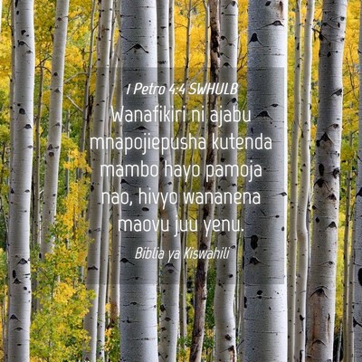 Picture 04 - 1 Petro 4:4 SWHULB - Wanafikiri ni ajabu mnapojiepusha kutenda mambo - Bible Verse Picture