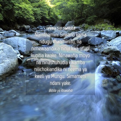 Picture 04 - 1 Petro 5:12 SWHULB - Namthamini Silwano kama ndugu mwaminifu, na - Bible Verse Picture
