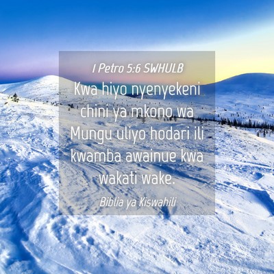 Picture 04 - 1 Petro 5:6 SWHULB - Kwa hiyo nyenyekeni chini ya mkono wa Mungu uliyo - Bible Verse Picture