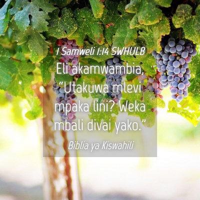 Picture 04 - 1 Samweli 1:14 SWHULB - Eli akamwambia, “Utakuwa mlevi mpaka lini? Weka - Bible Verse Picture