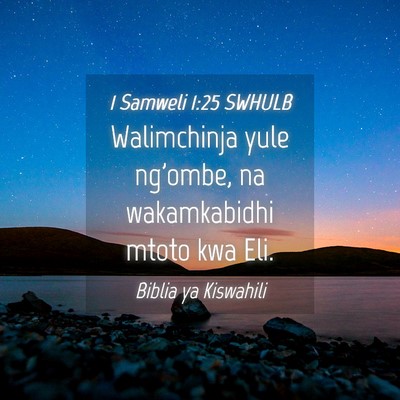 Picture 04 - 1 Samweli 1:25 SWHULB - Walimchinja yule ng'ombe, na wakamkabidhi mtoto - Bible Verse Picture