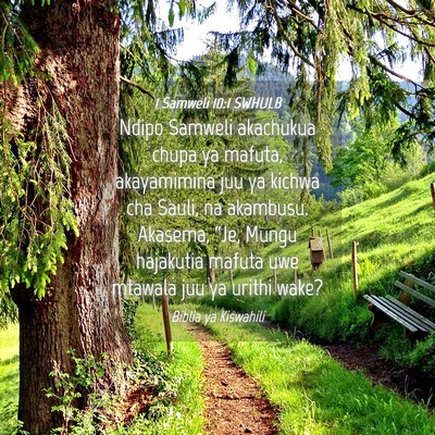 Picture 04 - 1 Samweli 10:1 SWHULB - Ndipo Samweli akachukua chupa ya mafuta, - Bible Verse Picture