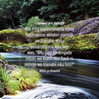 Picture 04 - 1 Samweli 10:11 SWHULB - Kila mtu aliyemfahamu kabla hajamwona akitabiri - Bible Verse Picture