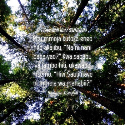 Picture 04 - 1 Samweli 10:12 SWHULB - Mtu mmoja kutoka eneo hilo akajibu, “Na ni nani - Bible Verse Picture