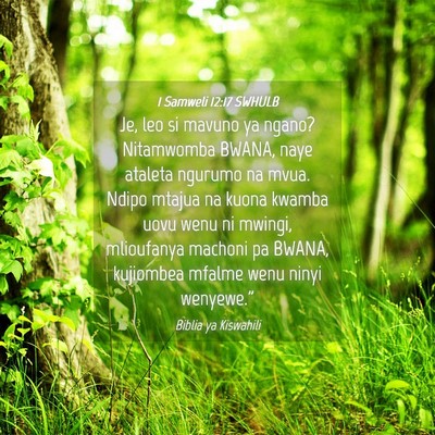Picture 04 - 1 Samweli 12:17 SWHULB - Je, leo si mavuno ya ngano? Nitamwomba BWANA, - Bible Verse Picture