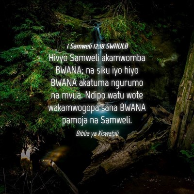 Picture 04 - 1 Samweli 12:18 SWHULB - Hivyo Samweli akamwomba BWANA; na siku iyo hiyo - Bible Verse Picture