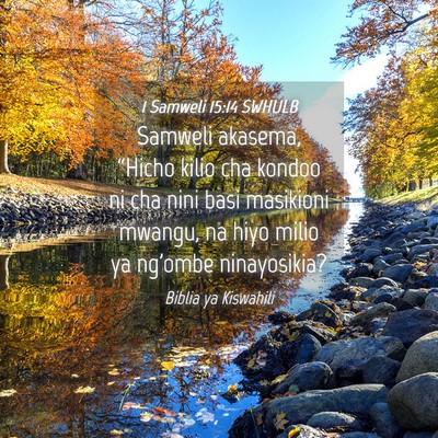 Picture 04 - 1 Samweli 15:14 SWHULB - Samweli akasema, “Hicho kilio cha kondoo ni cha - Bible Verse Picture