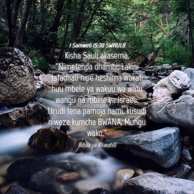 Picture 04 - 1 Samweli 15:30 SWHULB - Kisha Sauli akasema, “Nimetenda dhambi. Lakini - Bible Verse Picture