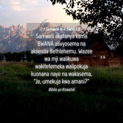 Picture 04 - 1 Samweli 16:4 SWHULB - Samweli akafanya kama BWANA alivyosema na akaenda - Bible Verse Picture