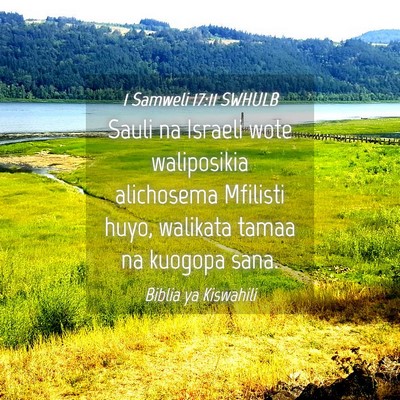 Picture 04 - 1 Samweli 17:11 SWHULB - Sauli na Israeli wote waliposikia alichosema - Bible Verse Picture