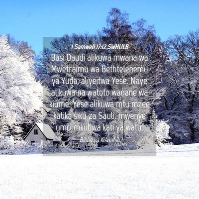Picture 04 - 1 Samweli 17:12 SWHULB - Basi Daudi alikuwa mwana wa Mwefraimu wa - Bible Verse Picture