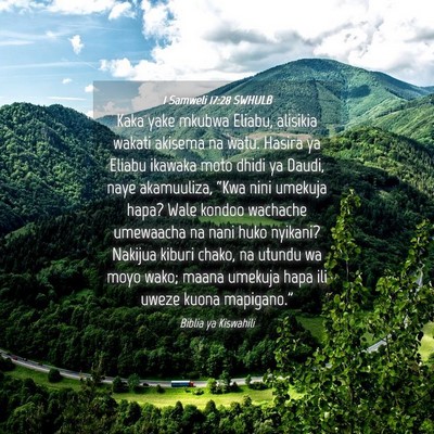 Picture 04 - 1 Samweli 17:28 SWHULB - Kaka yake mkubwa Eliabu, alisikia wakati akisema - Bible Verse Picture