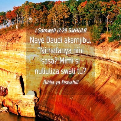 Picture 04 - 1 Samweli 17:29 SWHULB - Naye Daudi akamjibu, “Nimefanya nini sasa? Mimi - Bible Verse Picture