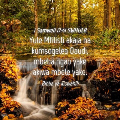 Picture 04 - 1 Samweli 17:41 SWHULB - Yule Mfilisti akaja na kumsogelea Daudi, mbeba - Bible Verse Picture