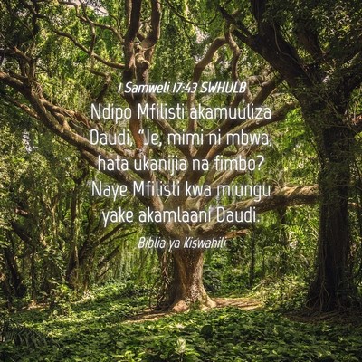 Picture 04 - 1 Samweli 17:43 SWHULB - Ndipo Mfilisti akamuuliza Daudi, “Je, mimi ni - Bible Verse Picture
