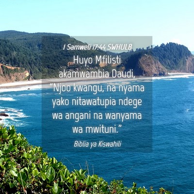 Picture 04 - 1 Samweli 17:44 SWHULB - Huyo Mfilisti akamwambia Daudi, “Njoo kwangu, - Bible Verse Picture