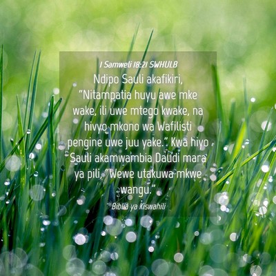 Picture 04 - 1 Samweli 18:21 SWHULB - Ndipo Sauli akafikiri, “Nitampatia huyu awe mke - Bible Verse Picture