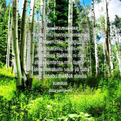 Picture 04 - 1 Samweli 2:25 SWHULB - “Kama mtu mmoja akimkosea mwenzake, Mungu - Bible Verse Picture