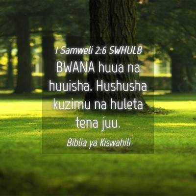 Picture 04 - 1 Samweli 2:6 SWHULB - BWANA huua na huuisha. Hushusha kuzimu na huleta - Bible Verse Picture