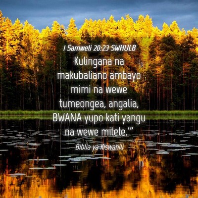 Picture 04 - 1 Samweli 20:23 SWHULB - Kulingana na makubaliano ambayo mimi na wewe - Bible Verse Picture